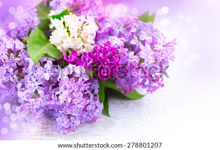 Lilac flowers bunch over white wooden background. Beautiful violet Lilac flower border design closeup. Copy space for your text