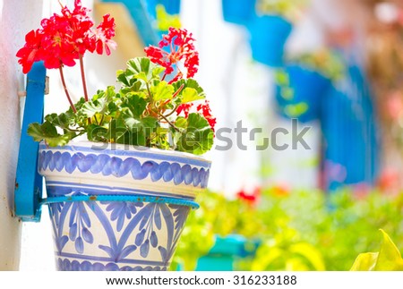 Torremolinos. Costa del Sol, Andalucia,Spain. Traditional White Village with flower pots in facades at Spain. Flower pots in facades close up. Beautiful street decorated with flowers in Spain