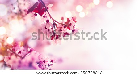 Similar – Image, Stock Photo Flower in the backlight. It looks like it has thorns.