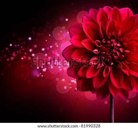 Similar – Image, Stock Photo Dark red dahlia flower on canvas background