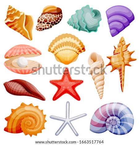 Seashells collection. Vector flat cartoon illustration. Summer travel design elements, isolated on white background. Sea shells colorful icons set. 商業照片 © 