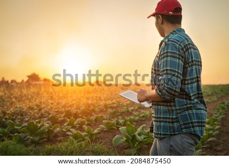 Similar – Image, Stock Photo Crop person with a bunch of fresh asparagus