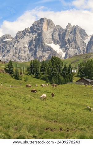 Similar – Foto Bild auf der Alm Umwelt Natur