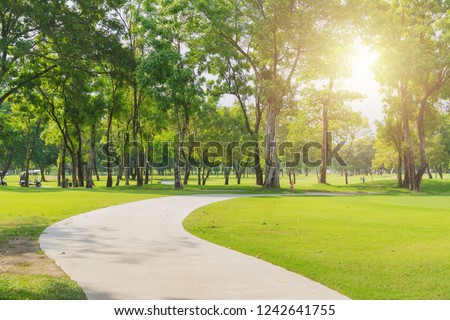 Similar – Image, Stock Photo Green trees in park and blue sky