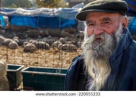 ANKARA,TURKEY - 31/10/2011 :The Festival of Sacrifice (Kurban Bayrami) approaches in Islamic Wold.Animal dealers (vendors) and buyers of sacrificial meet in traditional cattle markets in Ankara,Turkey