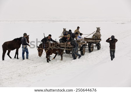 MUS,TURKEY - January 29 ,2015 : Unidentified young men ride horses and carts  on the snowy fields of Guroymak province in Mus,Turkey