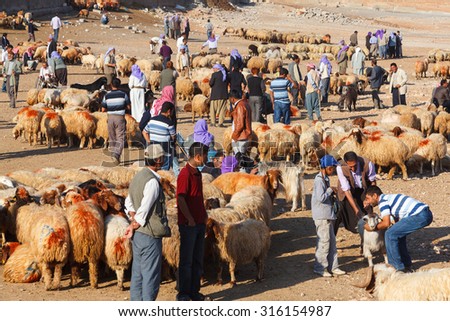 SANLIURFA,TURKEY-October 8, 2011:Unidentified  shepherds and people are in cattle market  which is established for upcoming sacrifice holiday (Kurban Bayrami ).Sellers and buyers meet in these markets