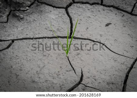cracked soil texture and background