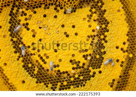Honeycomb Heart