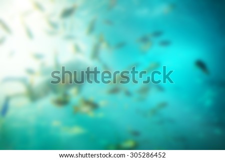 School fish under sea with diver and sunshine.