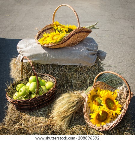 Heads of grain, apples and sunflowers. Harvest on the haystack