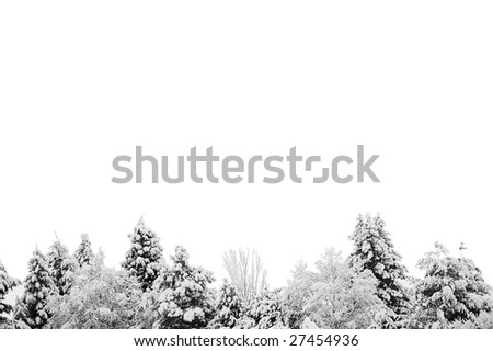 Black and white image of isolated trees covered in snow.