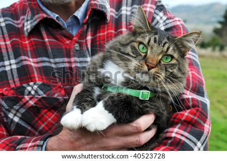 Animal Rescue Protection Man holding a maine coon cat with green eyes and collar