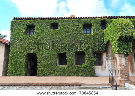 A vegetation covered building with windows and a door all covered in green leafs and plants