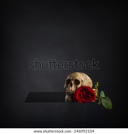 Conceptual Human Skull and Red Rose Flower on Hollow Platform. Captured with Gradient Gray Background