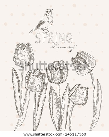 Spring flowers. Tulips. Greeting Card for March 8. Poster with flowering plants in doodle vintage style. Sketch. Hipster blossom design.