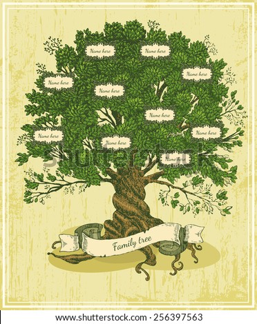 Genealogical tree on old paper background. Family tree in vintage style. Pedigree