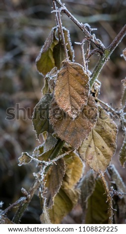Similar – Image, Stock Photo All Things must pass Metal