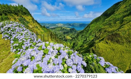 Similar – Image, Stock Photo Boca do Inferno, Portugal