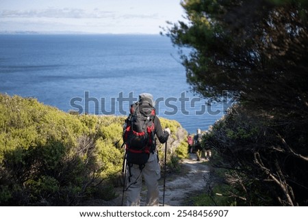 Similar – Foto Bild Unerkennbare Backpacker-Trekking im Herbstwald