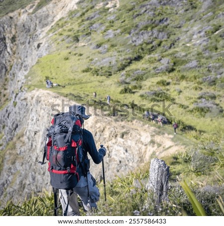 Similar – Image, Stock Photo Unrecognizable man on cliff near sea