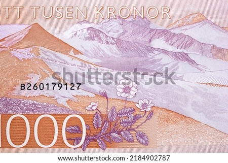 Mountain range from Swedish money - Crown ストックフォト © 