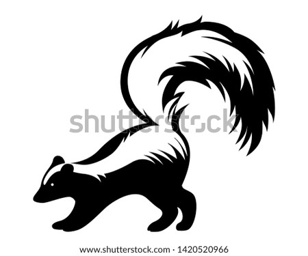 black and white skunk stands with his bushy tail