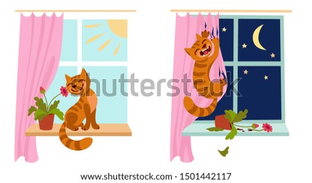 Similar – Image, Stock Photo Tear in the curtain Branch