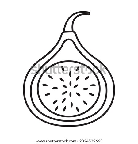 Fig icon line concept on background fruit isolated on white