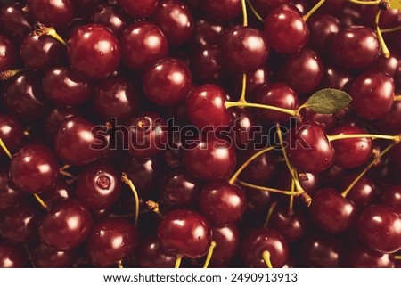 Similar – Image, Stock Photo The cherries are ripe!