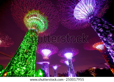SINGAPORE - january 08, 2014: Urban landscape of Singapore. Night view of Supertree Grove at Gardens by the Bay