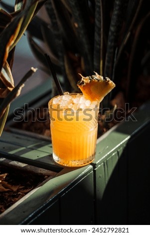 Similar – Image, Stock Photo Various glassware on orange table