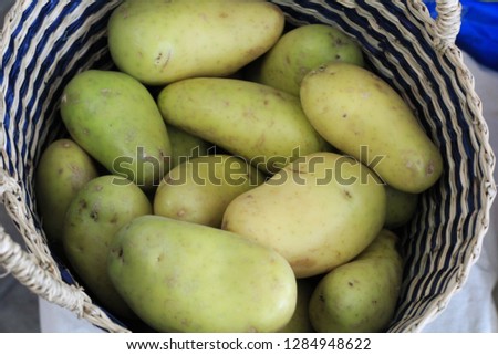 Potato potatoes  fresh Potato fresh potatoes   Potatoes  Potato Recipes  Potato Nutrition  Types of Potatoes