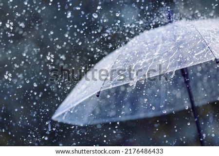 Similar – Image, Stock Photo summer rain Environment