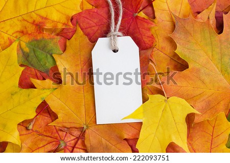 price tag from recycled paper on twine string on autumn leaves background