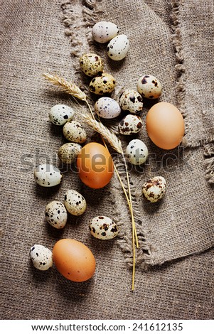 speckled quail eggs and chicken eggs on a rustic background