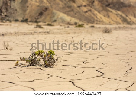 Similar – Image, Stock Photo Nice cracked mud dryness