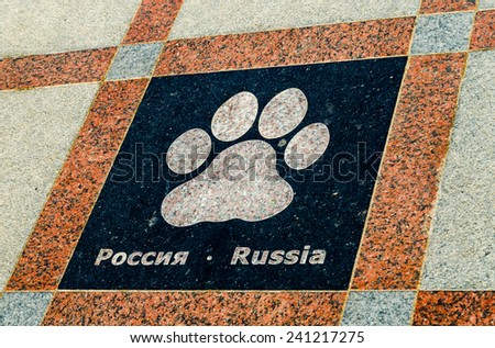 On the road from granite drawing trace of the tiger. Russia.