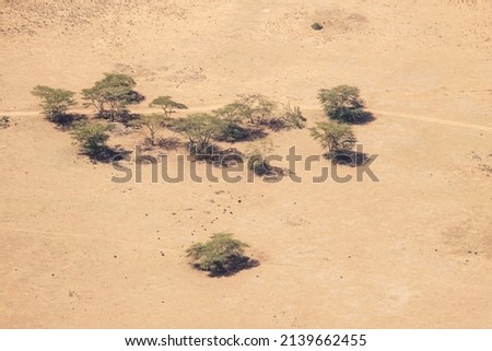 Harbinger of impending climate change: Beautiful aerial view of a herd of goats searching for edible grass in the sere Maasai tribal area in Kenya Imagine de stoc © 
