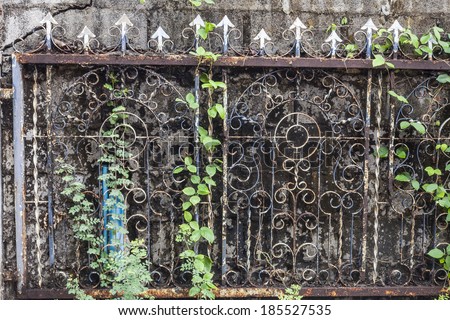 Old fence with rust and moss background