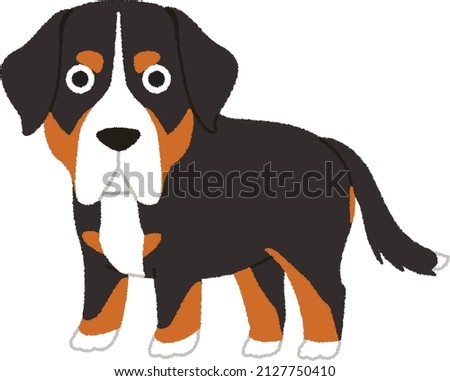 The Greater Swiss Mountain Dog  is a dog breed which was developed in the Swiss Alps. Dog is happy with an enthusiastic nature and strong affinity to people and children.