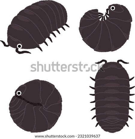 Illustration of an insect. Pill bugs are often found under fallen leaves, dead trees, and under stones.