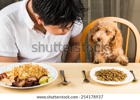 A teenager with a poodle puppy on dining table with plateful of food and kibbles
