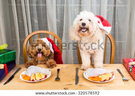 Concept of excited dogs on Santa hat having delicious raw meat Christmas meal on table
