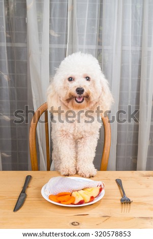 Concept of excited dog having delicious raw meat meal on table