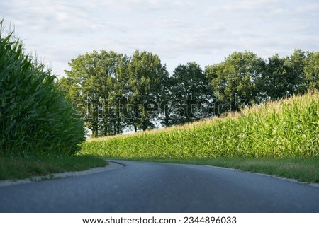 Similar – Image, Stock Photo Path between two corn fields in the evening sun