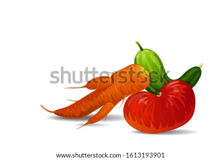 Vector illustration of fashionable ugly organic tomato, carrot and cucumber isolated on white background. Ugly food concept, ugly forms of organic vegetables. 