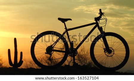Southwestern mountain bike silhouette