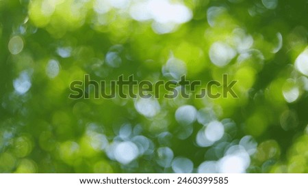 Similar – Foto Bild GRÜNE STIMMUNG . GREEN MOOD