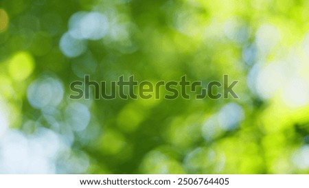 Similar – Image, Stock Photo diffuse hazy Diffuse